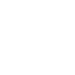 Search Icon